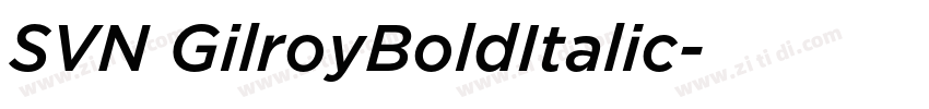 SVN GilroyBoldItalic字体转换